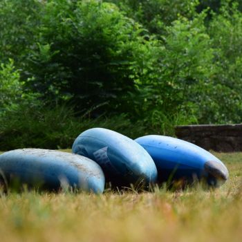 DSC_0956 DSC_0956