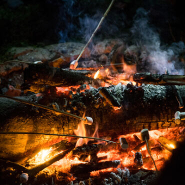 Feu de camp